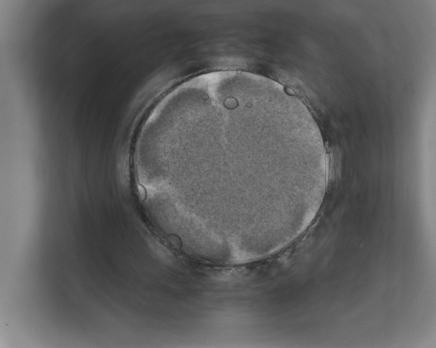 X0000111150243200908111139