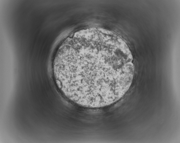 X0000111150245200908111139