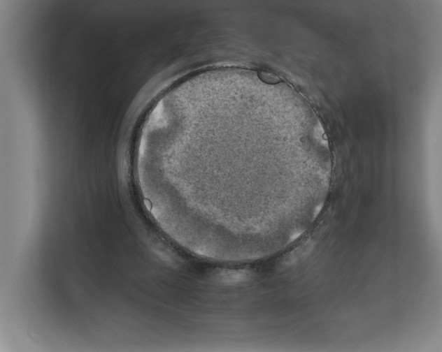 X0000111150247200908111139