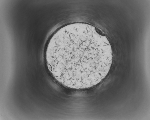 X0000111150248200908111139