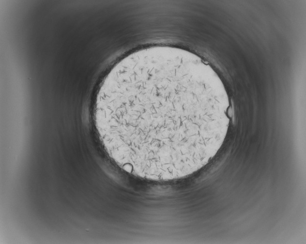 X0000111150252200908111139