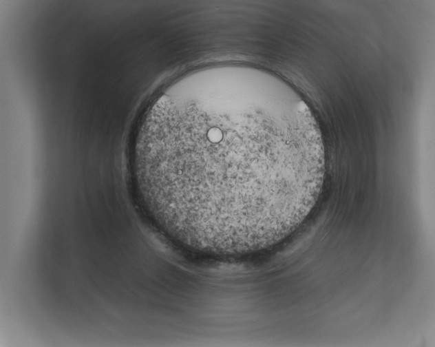 X0000111150256200908111139