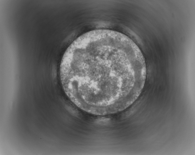 X0000111150257200908111140