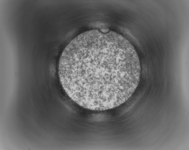 X0000111150259200908111140