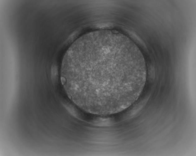 X0000111150260200908111140