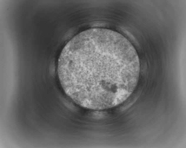 X0000111150261200908111140