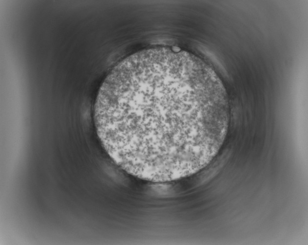 X0000111150265200908111140