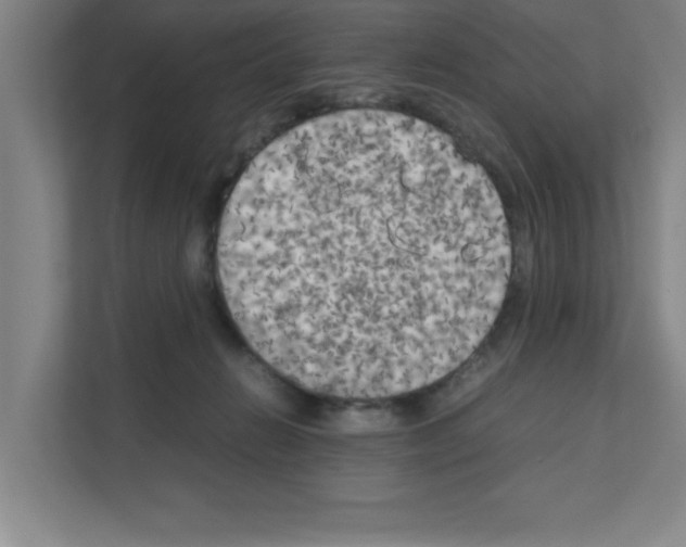 X0000111150270200908111140