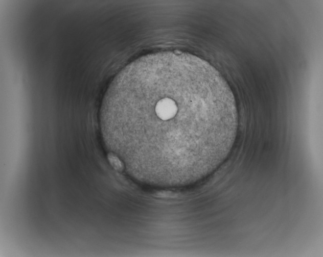 X0000111150272200908111140