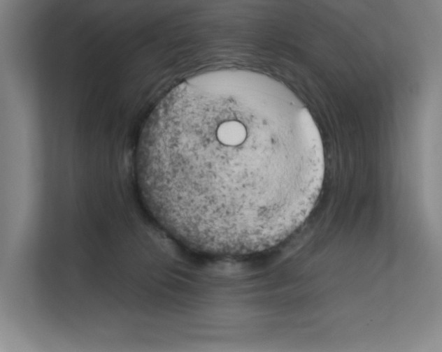 X0000111150276200908111140