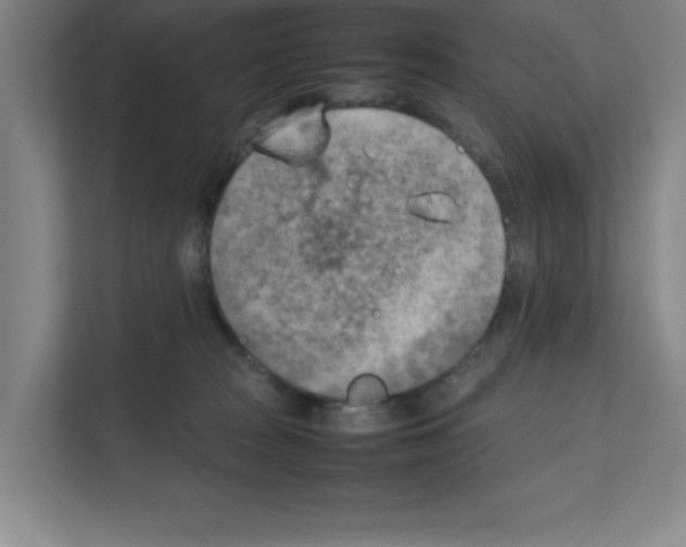 X0000111150277200908111140