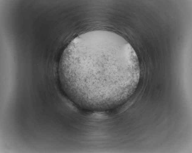 X0000111150280200908111140