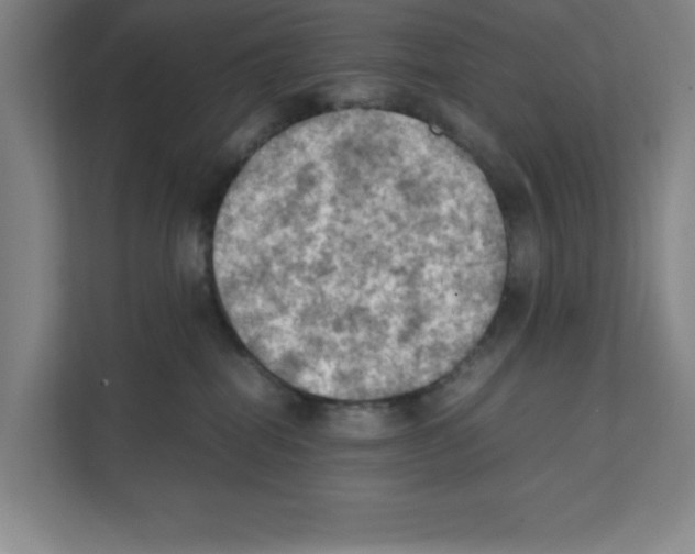 X0000111150282200908111140