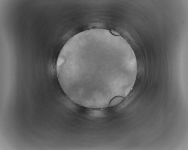 X0000111150285200908111140