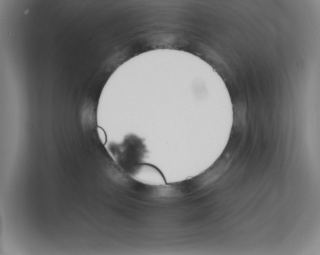 X0000111150287200908111140