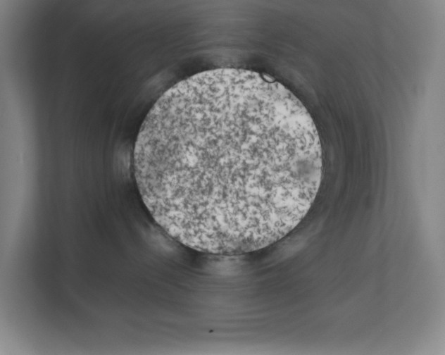 X0000111150288200908111140