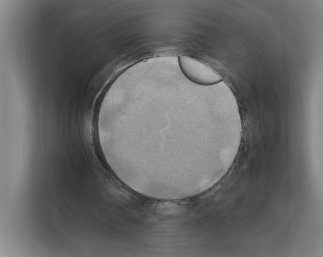 X0000111150290200908111139