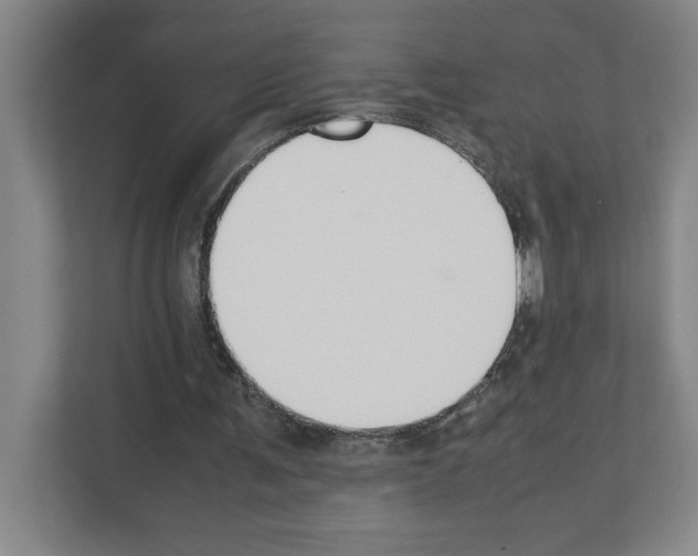 X0000111150291200908111139