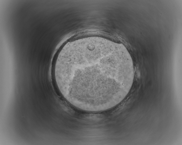 X0000111150292200908111139