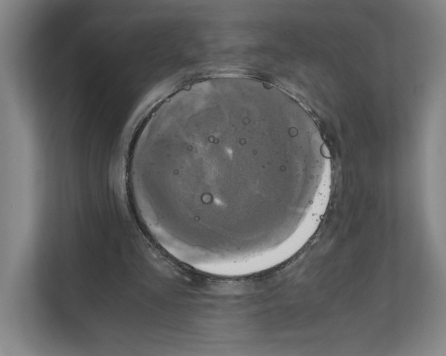 X0000111150293200908111139