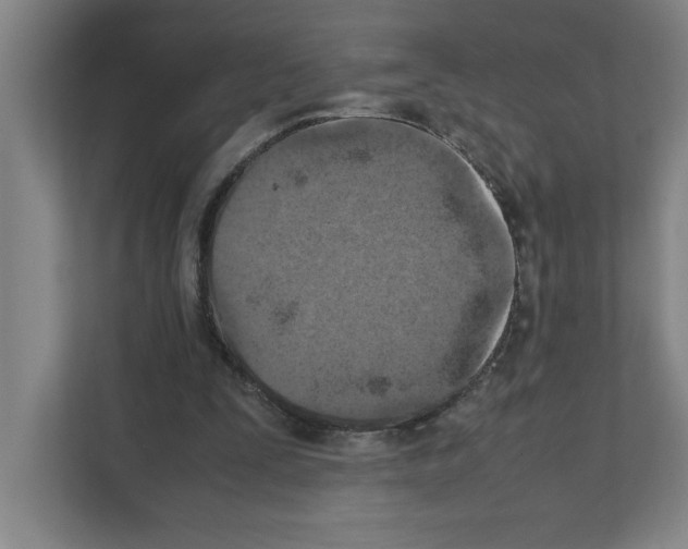 X0000111150295200908111139