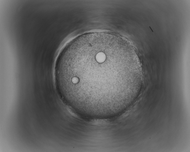 X0000111150296200908111139