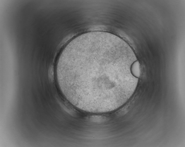 X0000111150298200908111139