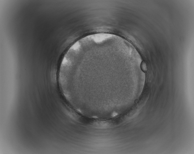 X0000111150299200908111139