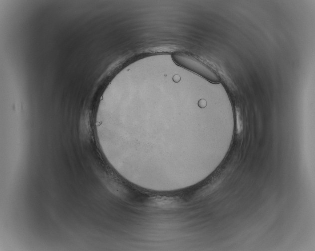 X0000111150300200908111139