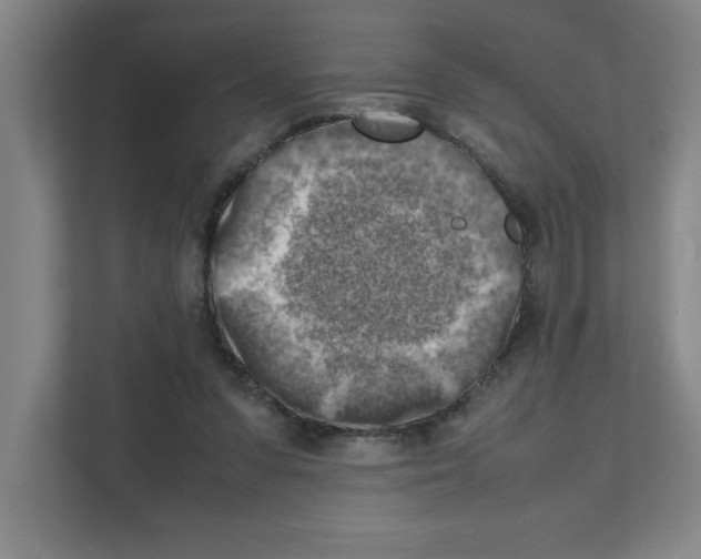 X0000111150303200908111139