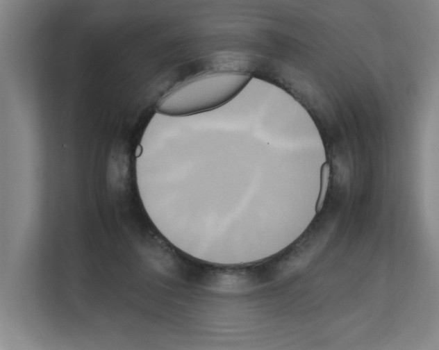 X0000111150308200908111139