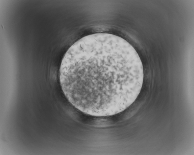 X0000111150315200908111139