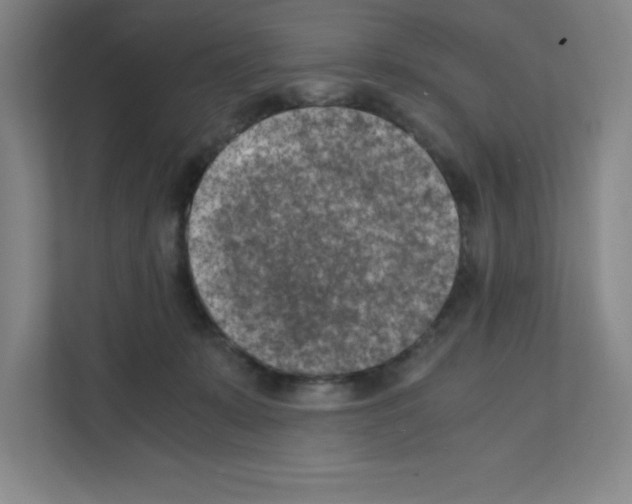 X0000111150319200908111139