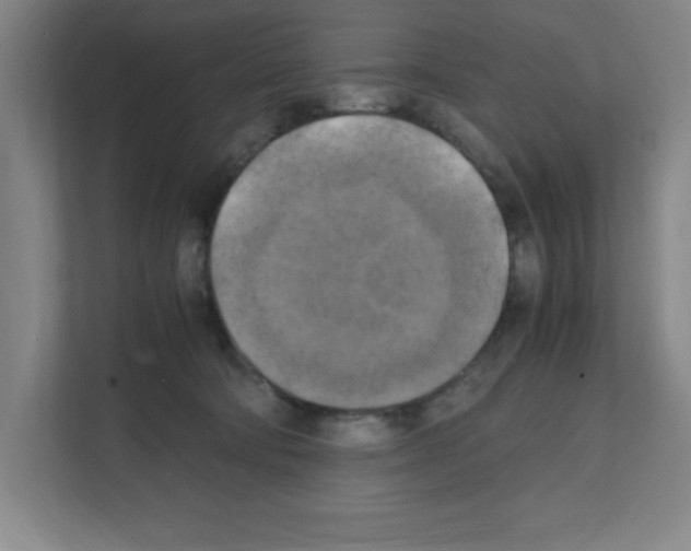 X0000111150322200908111139