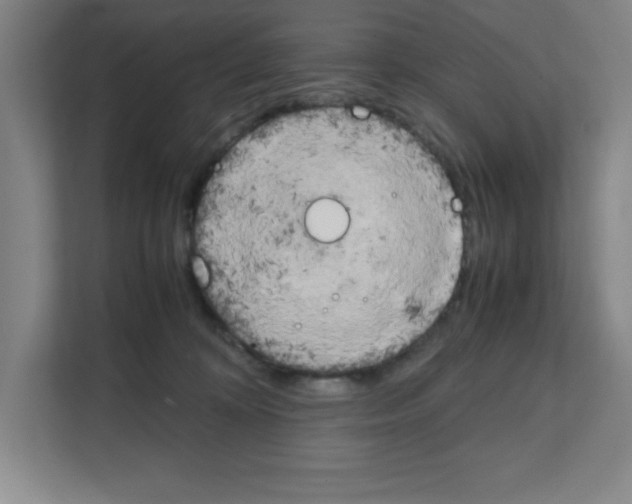 X0000111150324200908111139