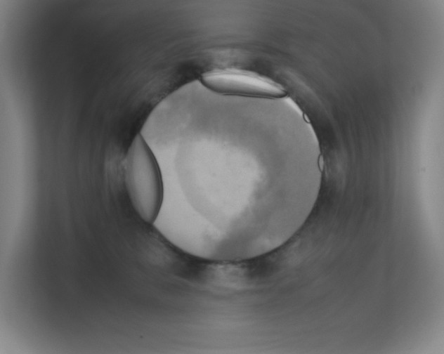 X0000111150327200908111139