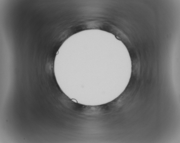 X0000111150329200908111139