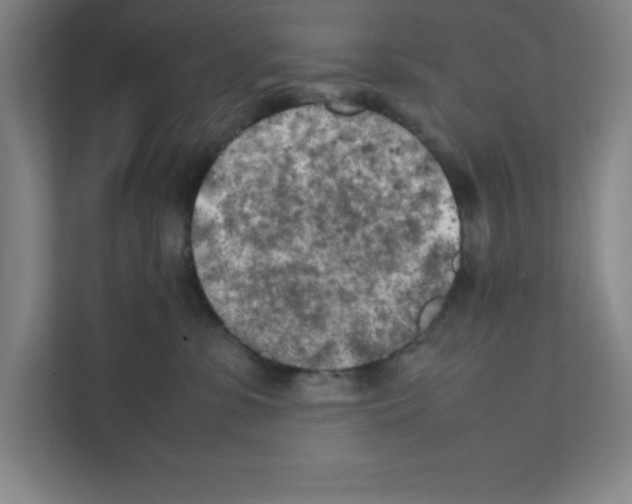 X0000111150331200908111139