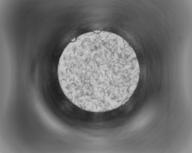 X0000111150335200908111139