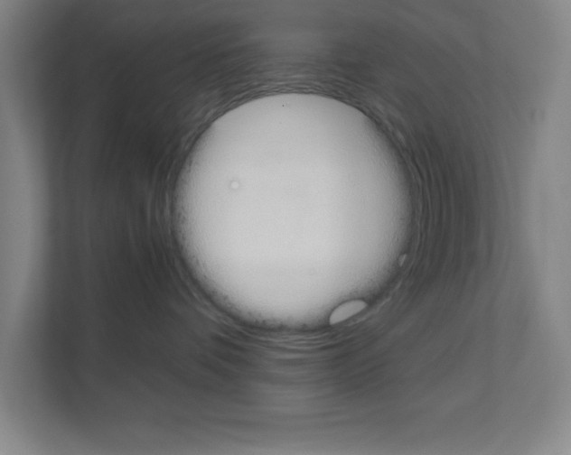 X0000111150336200908111139