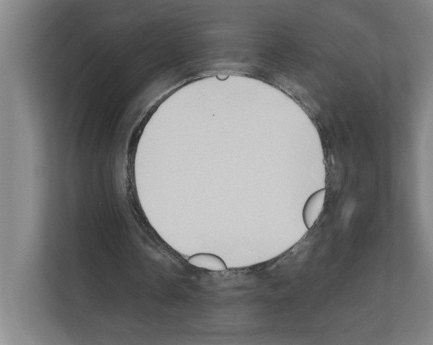 X0000111150338200908111138