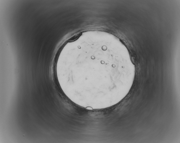 X0000111150340200908111138