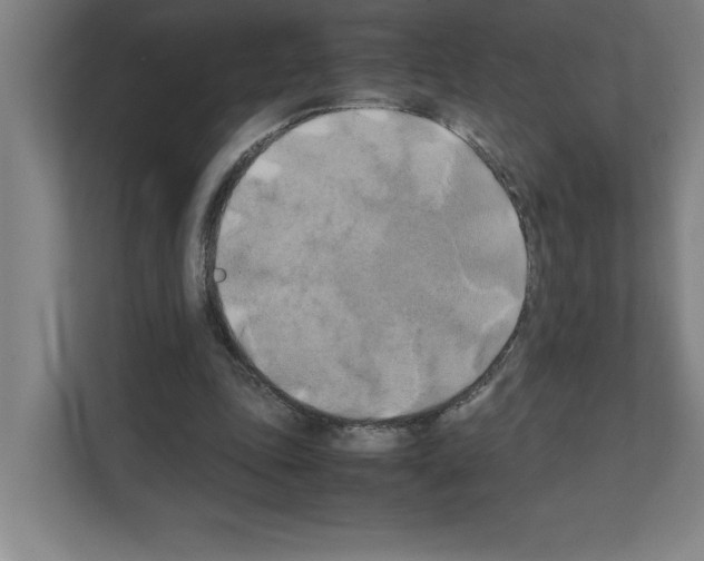 X0000111150343200908111138