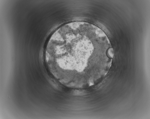 X0000111150346200908111138