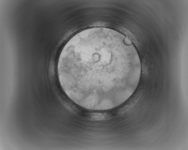 X0000111150347200908111138