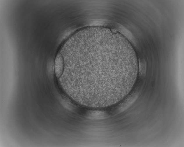 X0000111150348200908111138