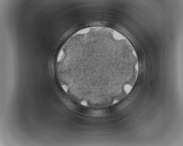 X0000111150349200908111138