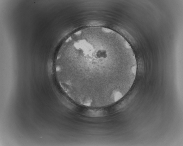 X0000111150351200908111138