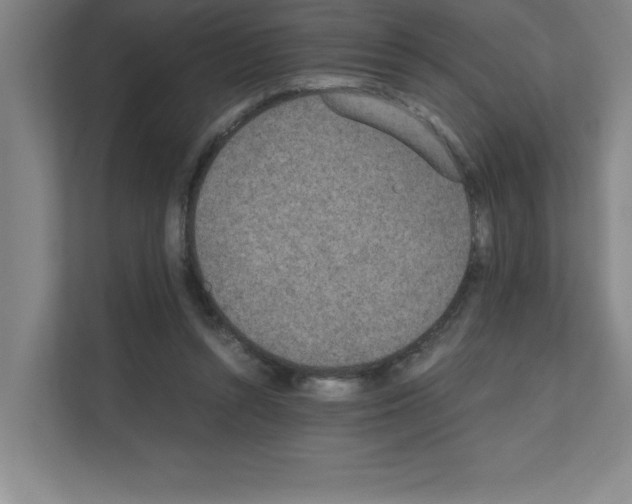 X0000111150352200908111138