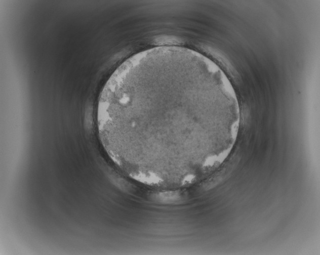 X0000111150353200908111138